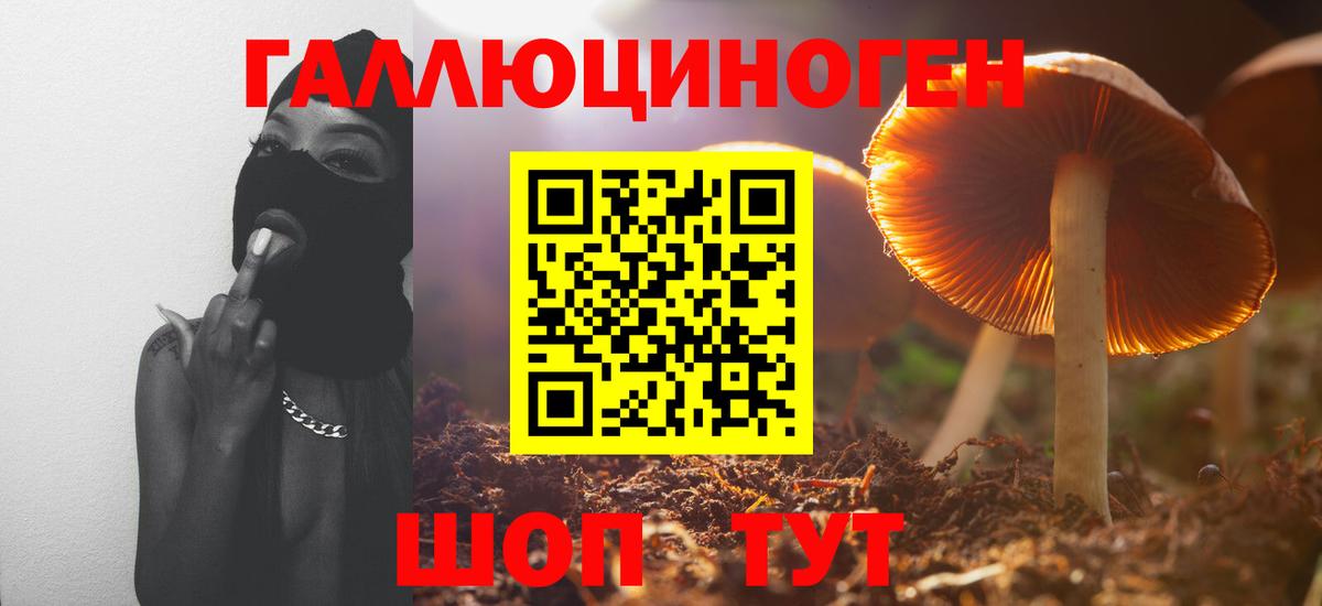 Ступино  Галлюциногенные грибы GOLDEN TEACHER  Вход с VPN 